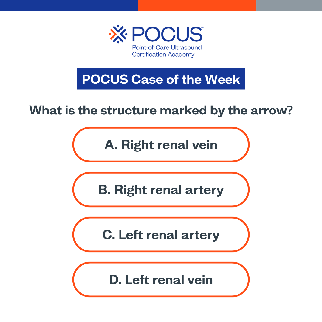 POCUSAcademy's tweet photo. π£ Case of the week!
Let us know your answer in the comments!
#POCUS #POCUSCaseStudyChallenge https://t.co/OCrrhBP18B