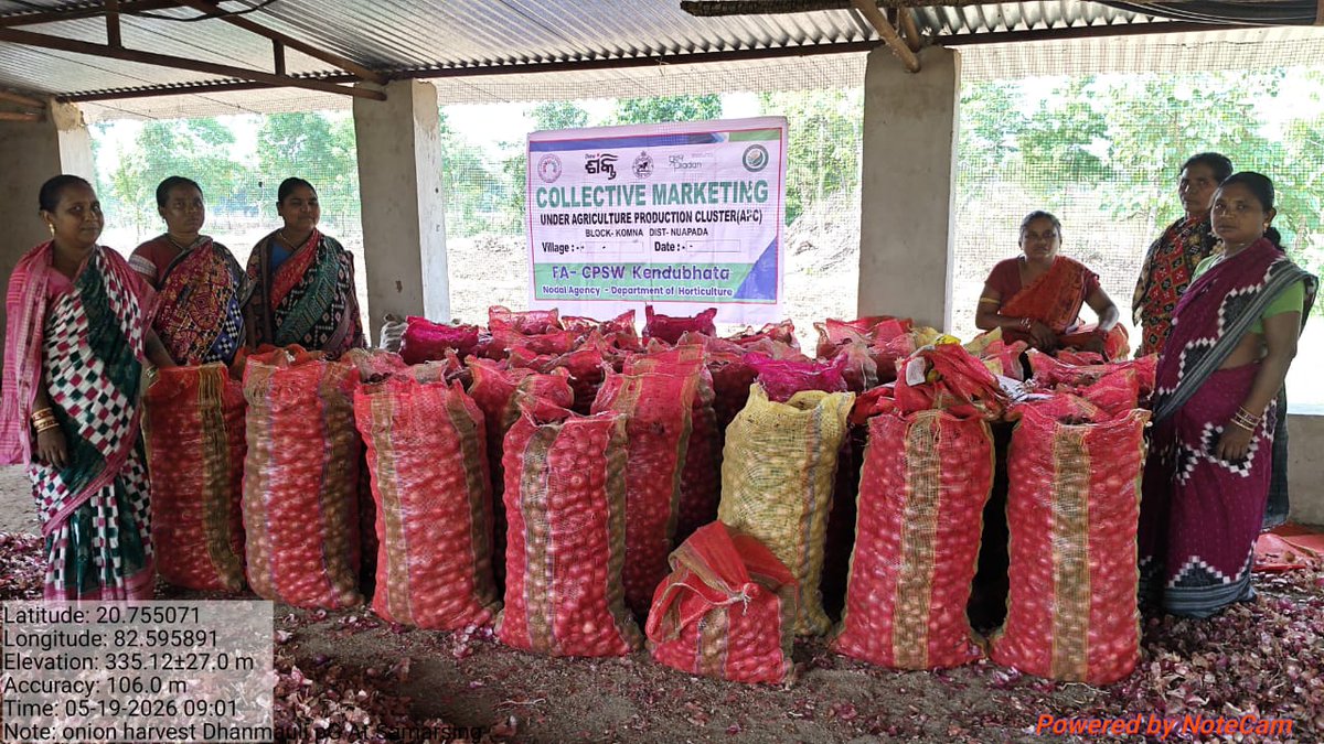 apc_program's tweet photo. Women farmers in Komna block of Nuapada district are earning in lakhs through onion farming under the Agriculture Production Cluster (APC) program.

Through collective marketing, women farmers from different Producer Groups supported by Department of Mission Shakti are selling produce in bulk, reaching larger buyers, and securing better returns for their onions. Together, they have sold 915 quintals of onions, generating a turnover of ₹10.19 lakh till now.

Facilitated by our partner CPSW under the APC program, and with input and technical support from the Directorate of Horticulture, the initiative is promoting onion cultivation as a viable cash crop while strengthening women-led collectives and enhancing income opportunities for smallholder farmers.
@CMO_Odisha @SecyChief @IPR_Odisha @krushibibhag @Horticultureod1 @OLM_Antyoday @mission_shakti
@DM_Nuapada #CPSW @PRADAN_India