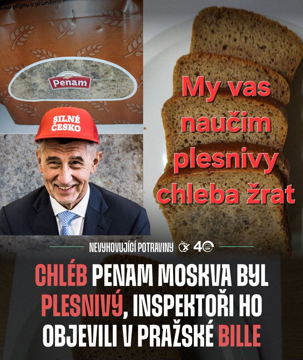 Pitomio™ ❌ tweet media