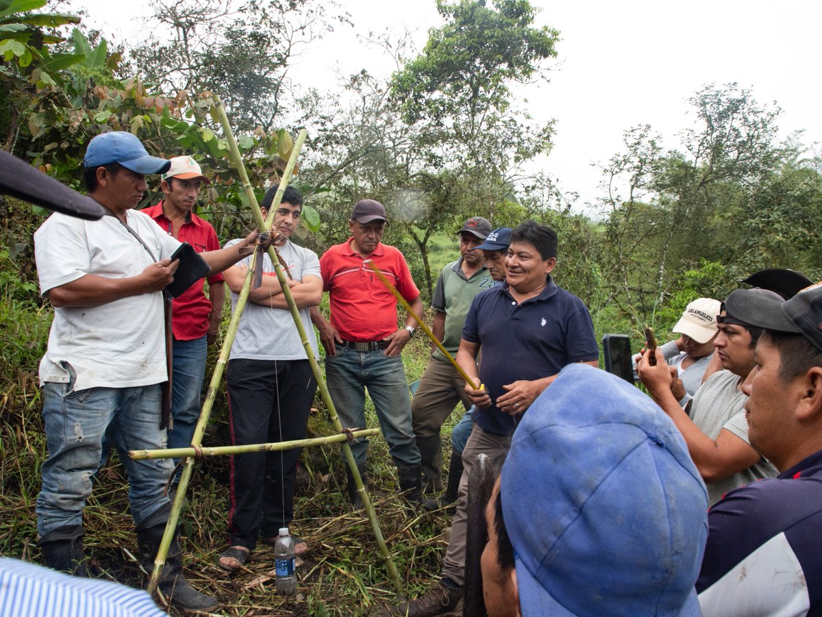 PROGRESO3's tweet photo. En el proyecto Productos del Bosque, se realizó una jornada de campo en Condorhuanchina, para al diseño e instalación de plantaciones de café bajo sistemas agroforestales.
📍Proyecto Productos del Bosque, ejecutado por PROGRESO, @CoopNorandino y @AVSFlatam, financiado por @AFD_es https://t.co/IorPccRMW4