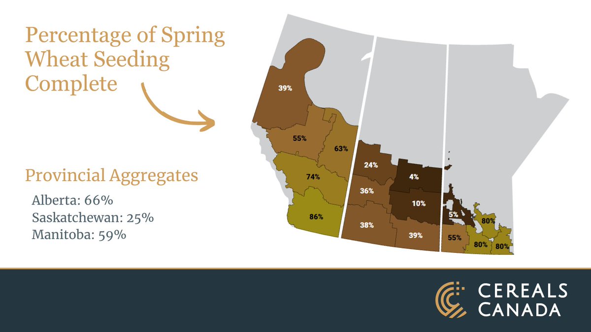 Cereals_Canada's tweet photo. Producers seeding spring wheat made good progress this week despite challenging weather conditions across the Prairies, including cool temperatures, rainfall, and strong winds. Visit the 2026 Growing Season Progress Report to learn more: https://t.co/ukud9CxwYg https://t.co/XOPtzi8I7r
