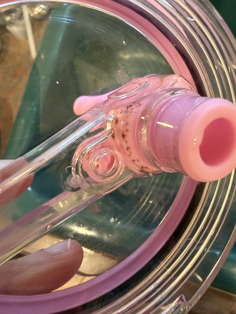 Ren1021's tweet photo. @hydro_jug the lid of my traveler got all moldy - it won’t come a part fully so water get’s in but I can’t get it out or fully clean. What can I do? https://t.co/syuFazEVBP