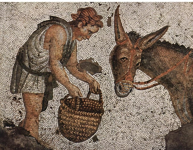 HerodotusWave's tweet photo. The "Boy Feeding a Donkey" mosaic, a famous piece of 5th-century Eastern Roman (Byzantine) art. It is currently preserved and on display at the Great Palace Mosaics Museum in Istanbul, Turkey. https://t.co/eG3vHKhSdD