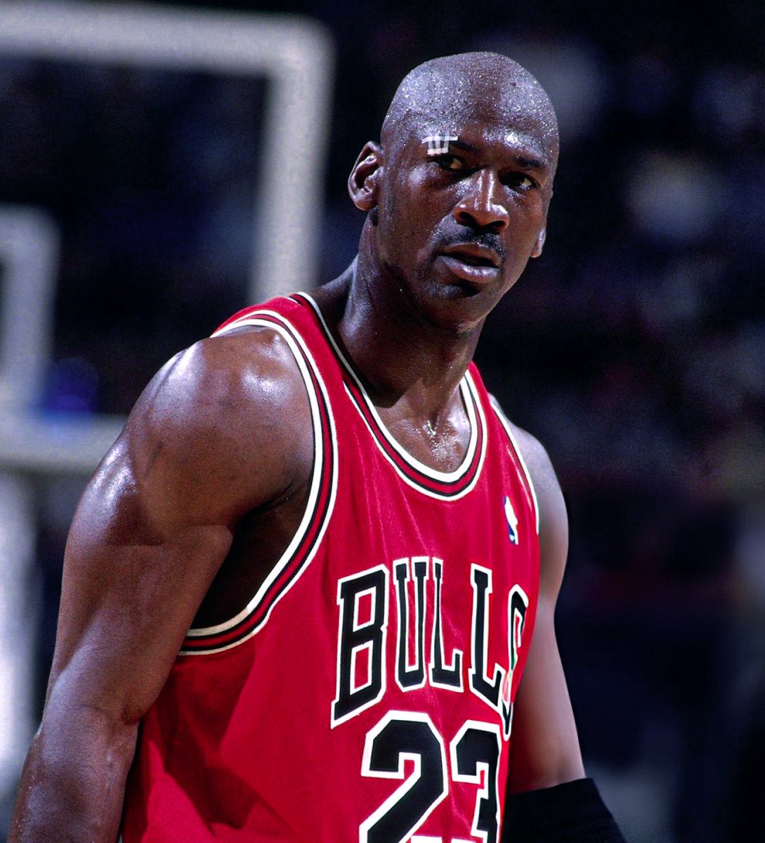 JordanMuse tweet media