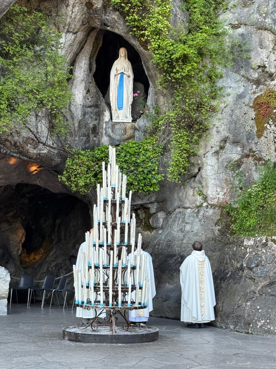 Fr Lawrence Lew, O.P. tweet media