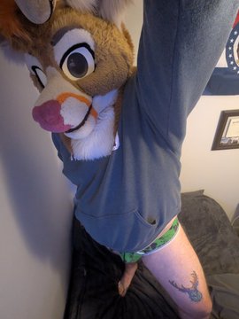 Aloy_Deer 🦌 tweet media