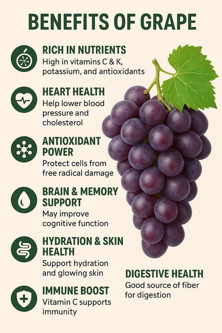 _daily_food_care_ tweet media