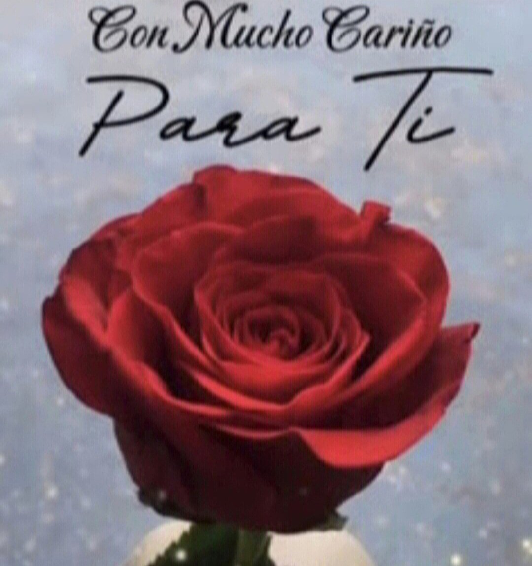 Pablo Priego Jimenez tweet media