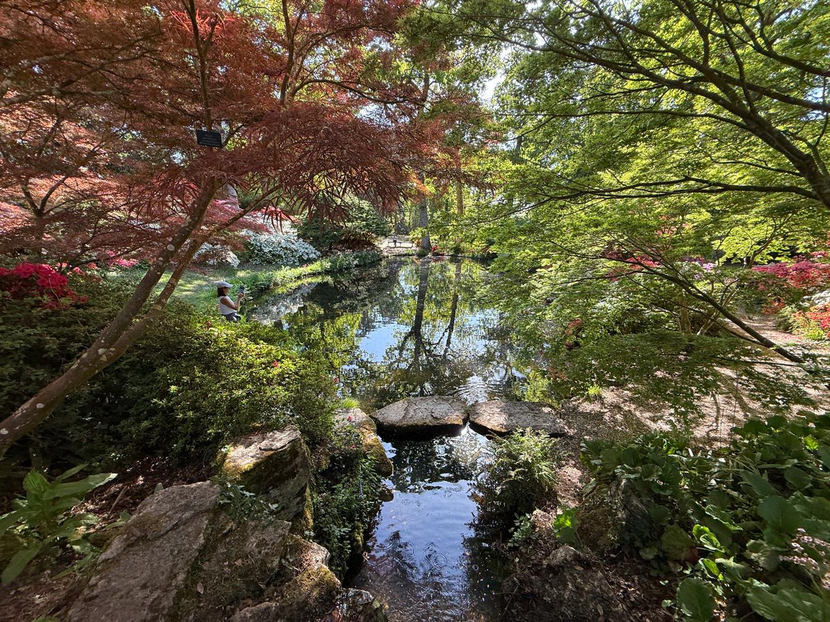 picturetheuk's tweet photo. Exbury Gardens in New Forest National Park: https://t.co/qDF3YcMtun