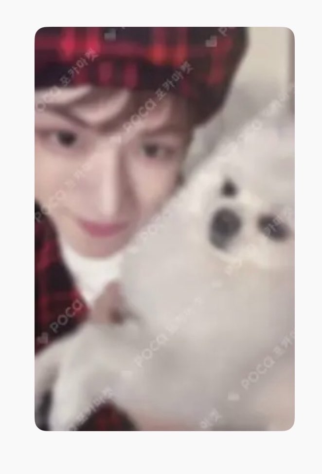 누룽이 tweet media