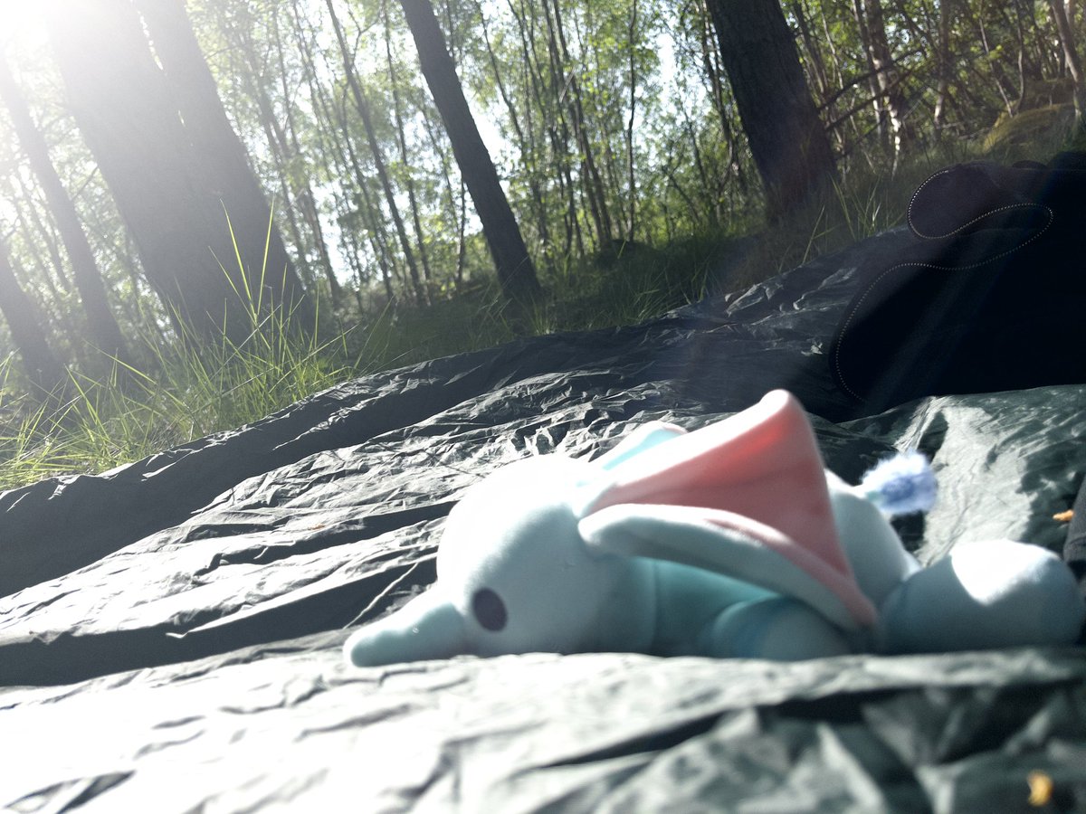Ada_in_real's tweet photo. Snubert in nature https://t.co/06cD05qoUy