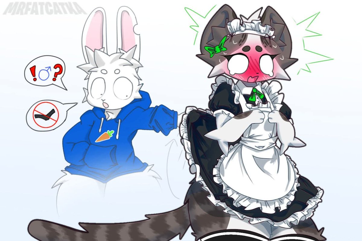 MR.FATCATKA tweet media