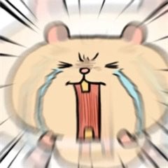 骚羊羊 tweet media