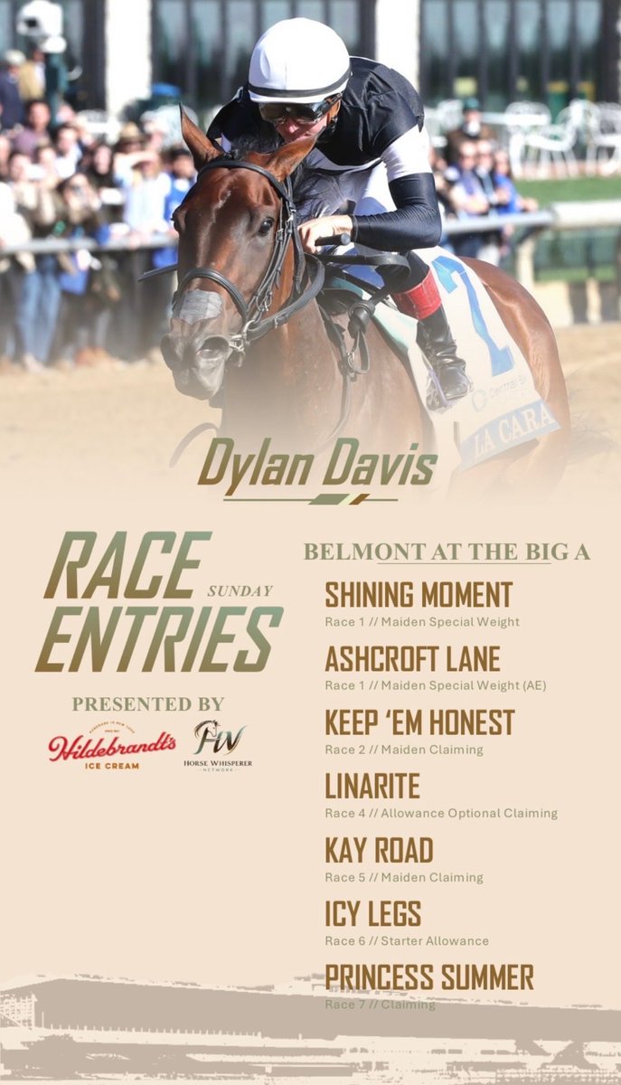 The Horse Whisperer Network tweet media