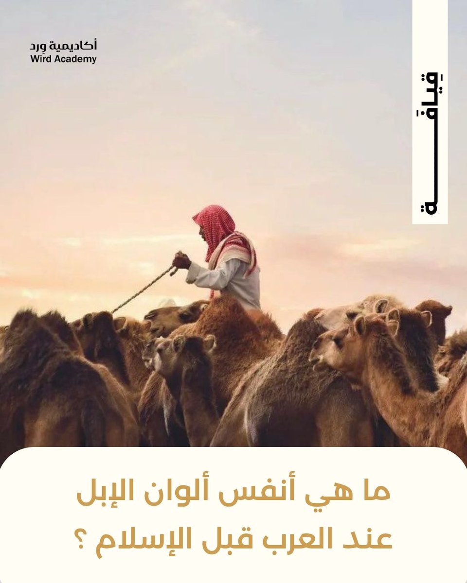 Wird Academy | أكاديمية وِرد tweet media