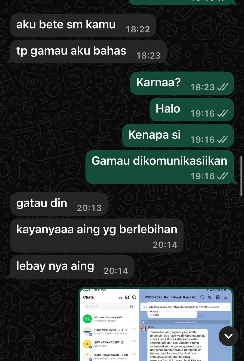 safina tweet media