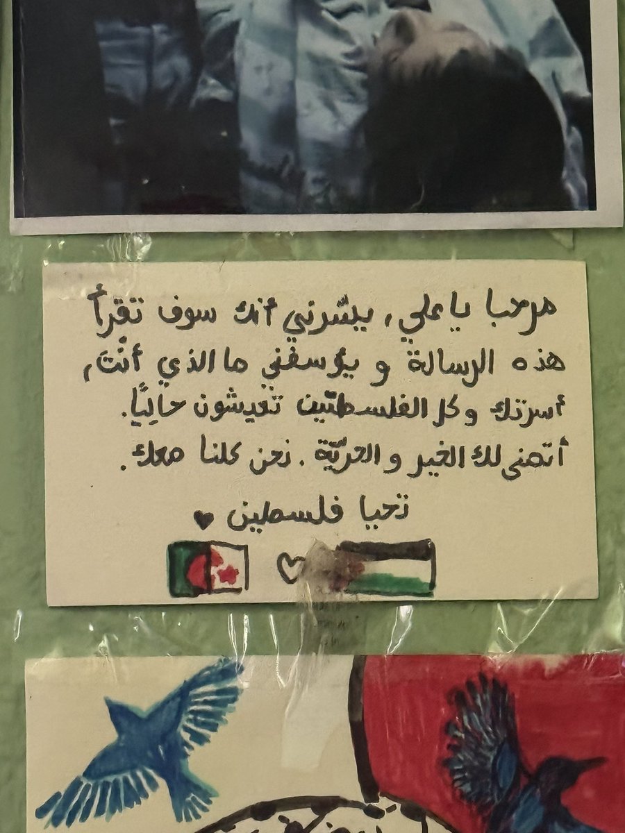 Rima Hassan tweet media