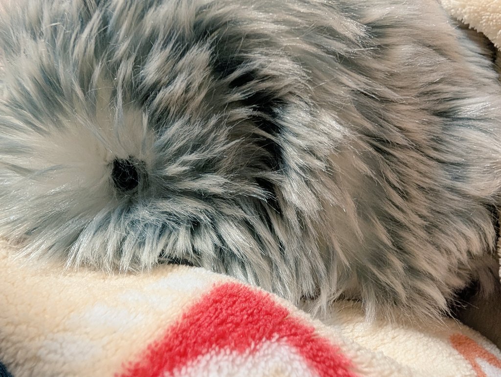 ポ tweet media