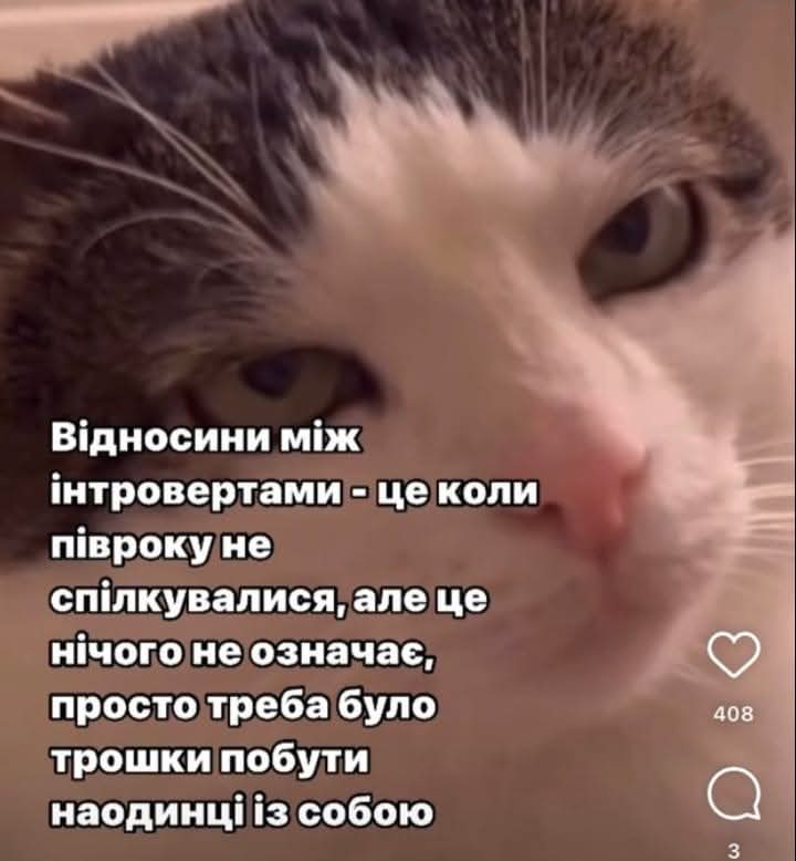 Пороблено tweet media