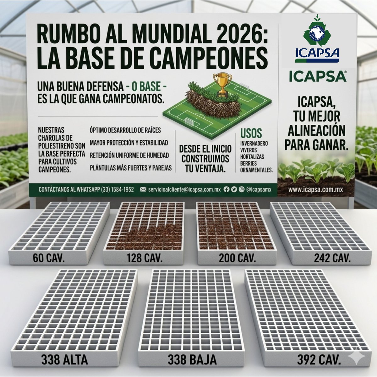 ICAPSAMX's tweet photo. #CHAROLASPARAINVERNADERO#ICAPSA#CULTIVANDOEXPERIENCIAS https://t.co/JR7dS3Z9Dn