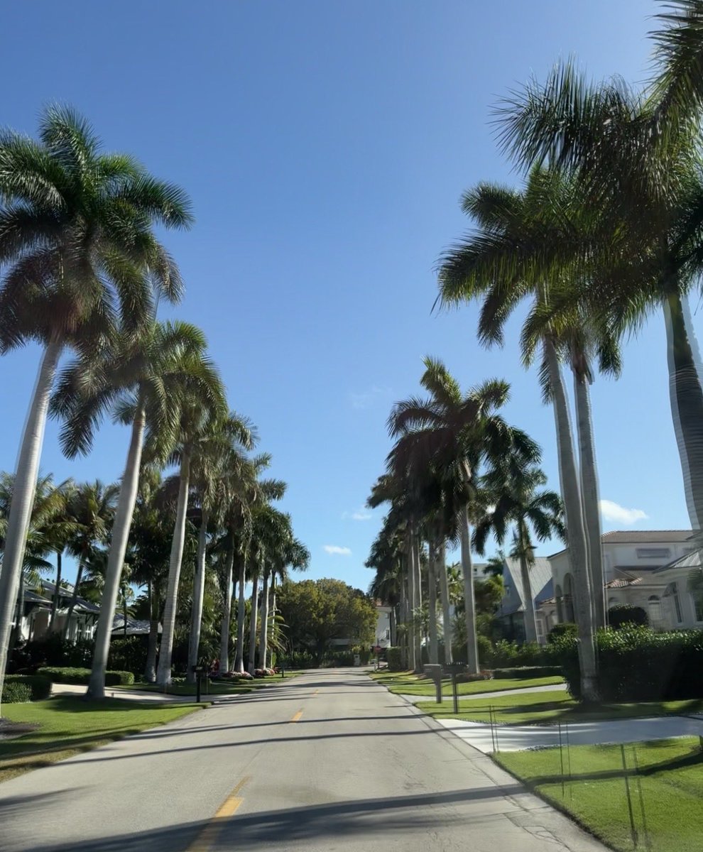 ViewsAndTravel's tweet photo. Florida 🌴 https://t.co/jdfVxtHq7b