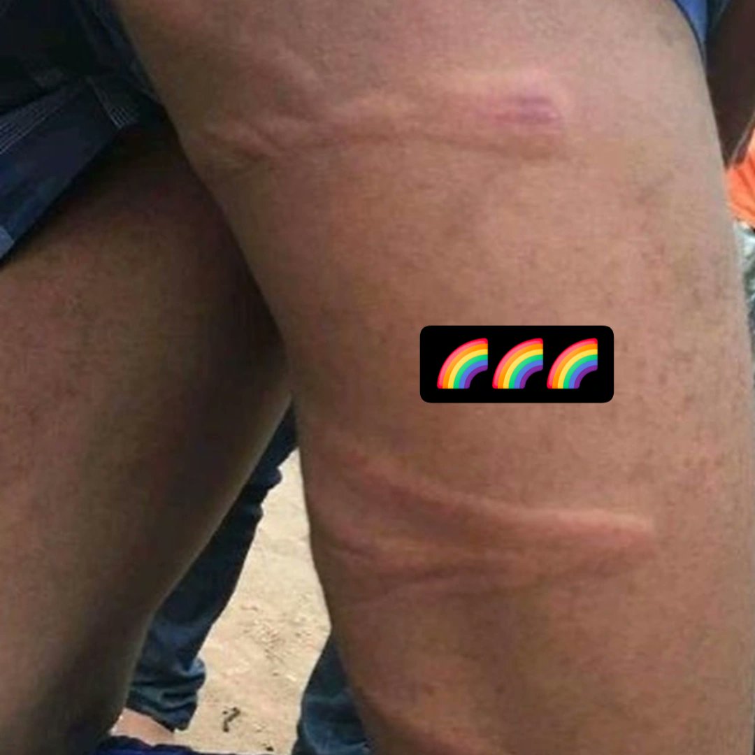 jonah 🏳️🌈 tweet media