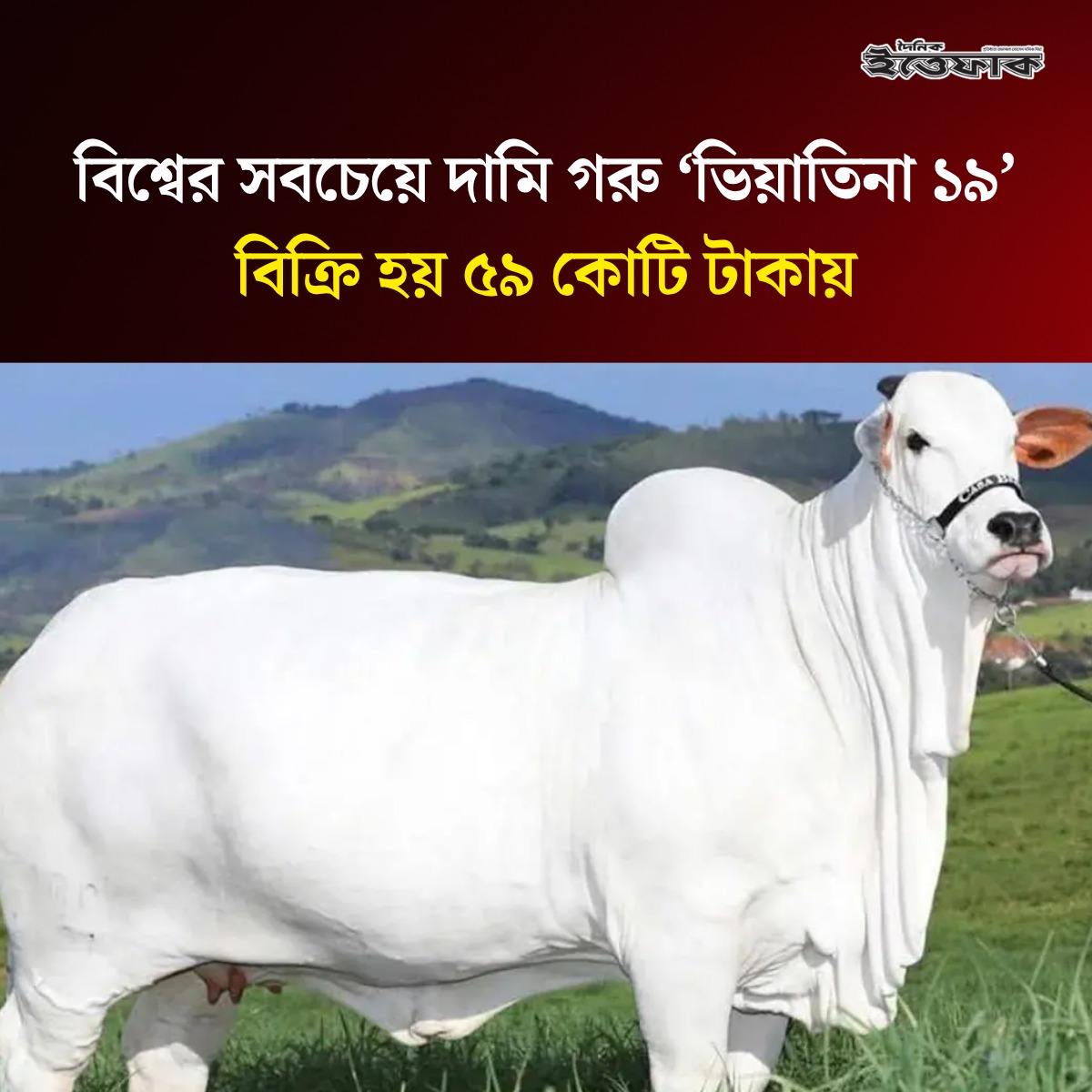 Daily Ittefaq tweet media