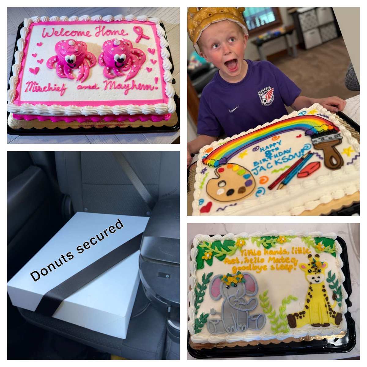 HanischBakery's tweet photo. Cakes, Cakes, and More Cakes!!  Our Cake Decorating Team can accomplish just about any idea you can come up with!!! Life with cake is always sweeter!!!  Also always remember to properly secure your bakery goods!! #mnbestdonuts #mnbestbakery #bestriverroadbakery #tcltop5bakerymn #kqrsbestdonuts