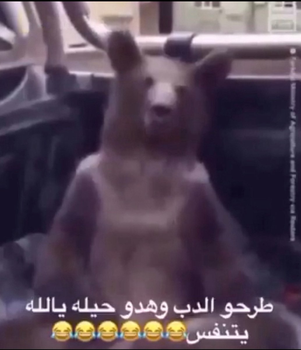 https://404.قرمبع tweet media