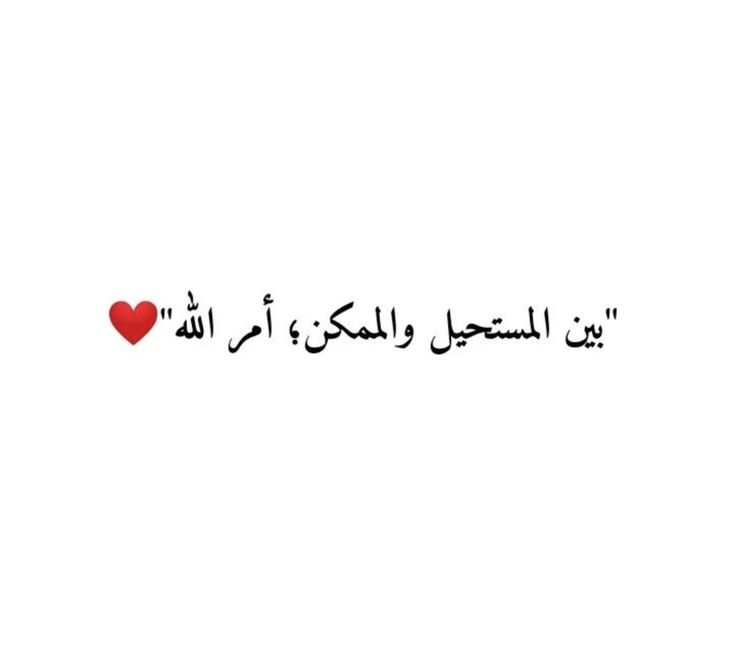 مُطمئِنةَ.! tweet media