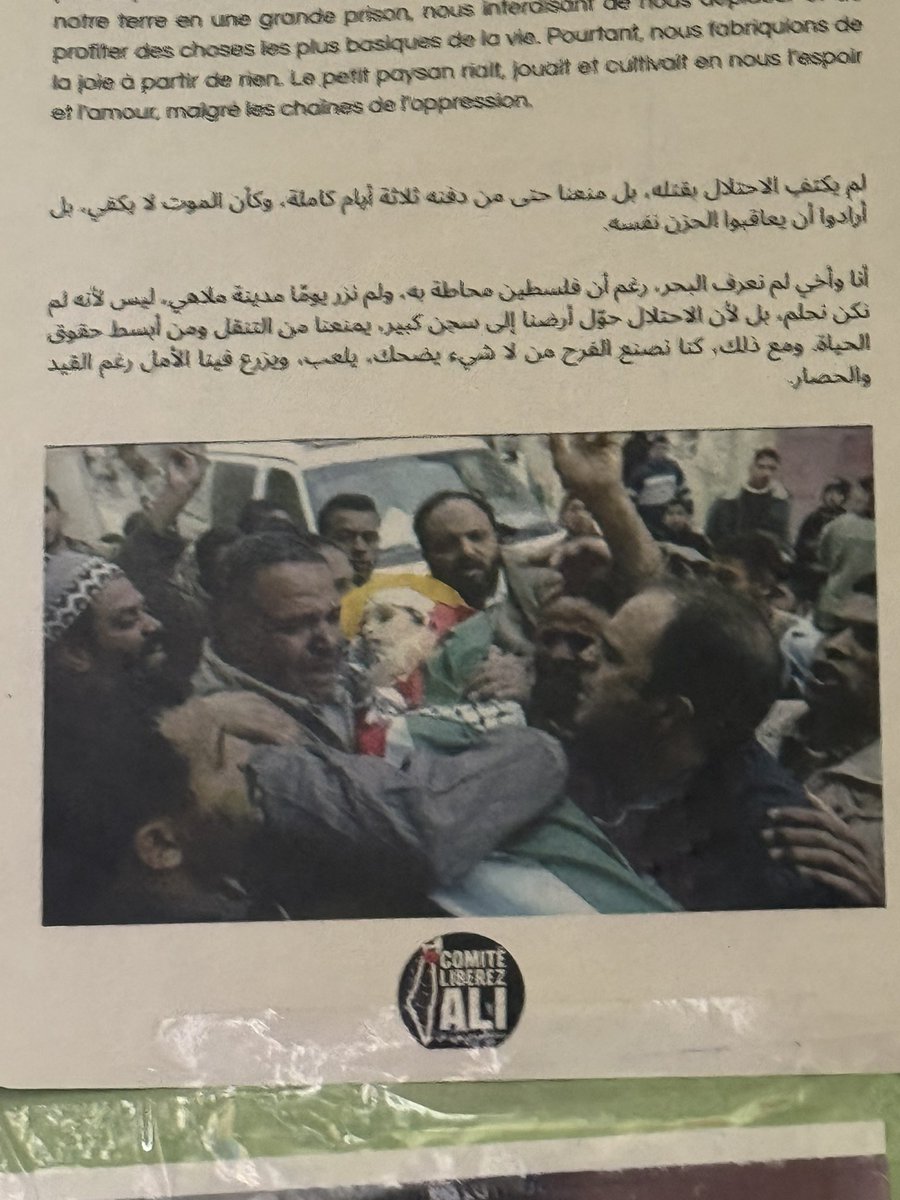 Rima Hassan tweet media
