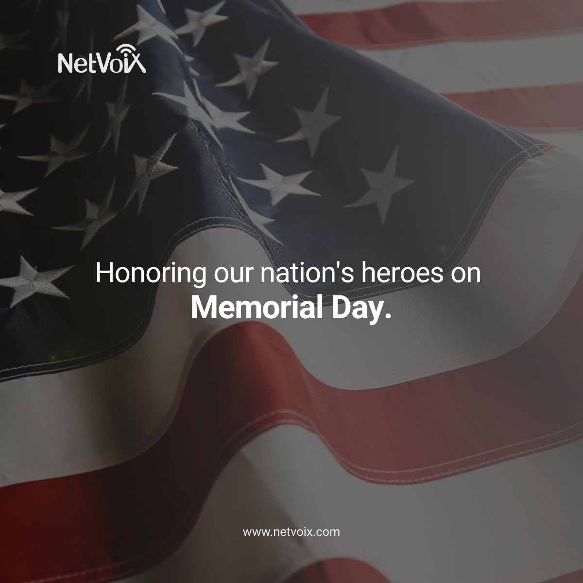 NetVoiX tweet media