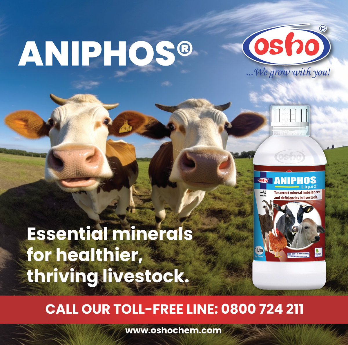 Osho Chemicals tweet media