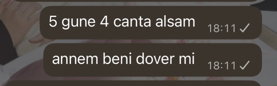 sevval tweet media