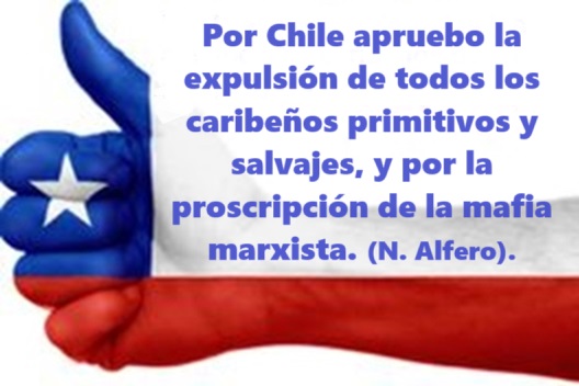 Nolbert Alfero tweet media