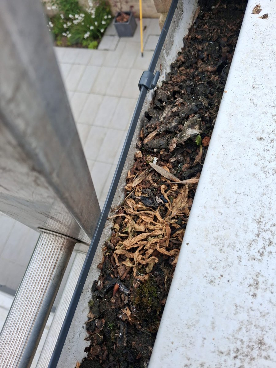 bathwindows's tweet photo. Another gutter cleaning at Eastcourte in Bath. https://t.co/lhEc0uRAPc