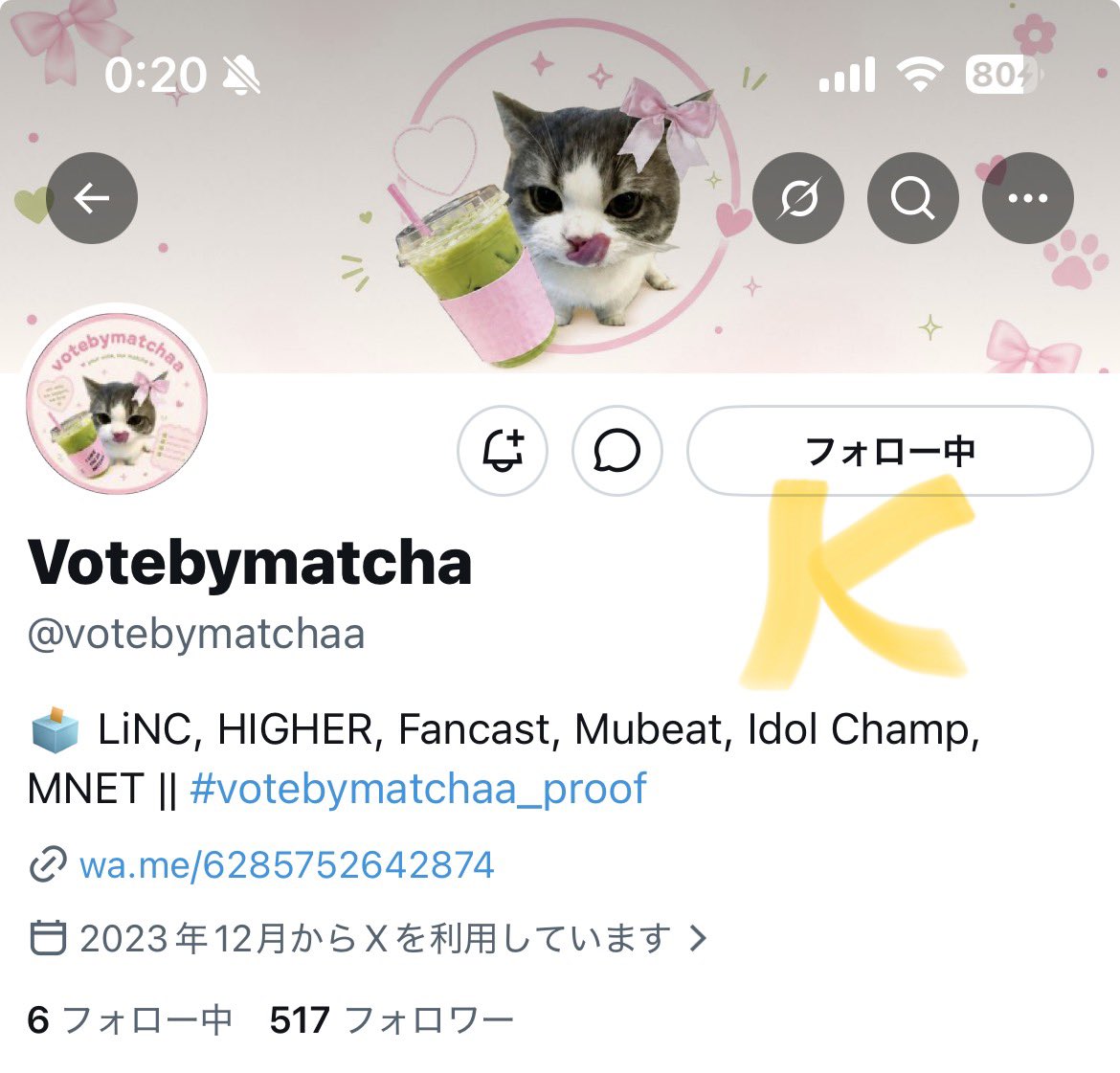 kana tweet media