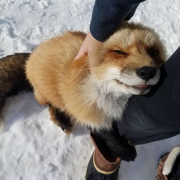 Wow Nature tweet media