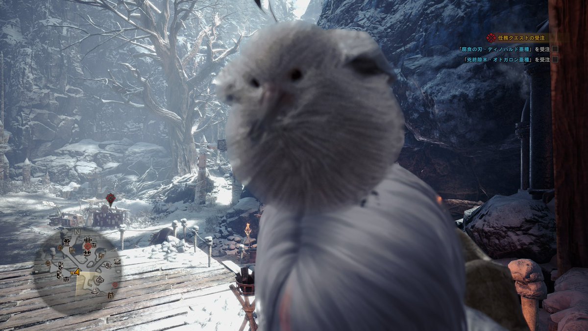 pretz_39's tweet photo. フワフワクイナの重ね着作れた🐥🫶 https://t.co/I5wiCuTNDT