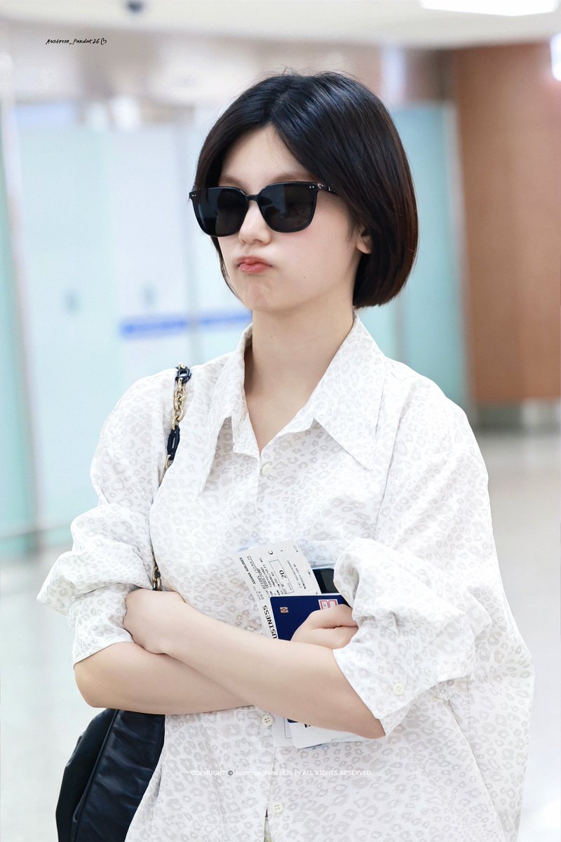 Austrose_Panda526 ᥫᩣ tweet media