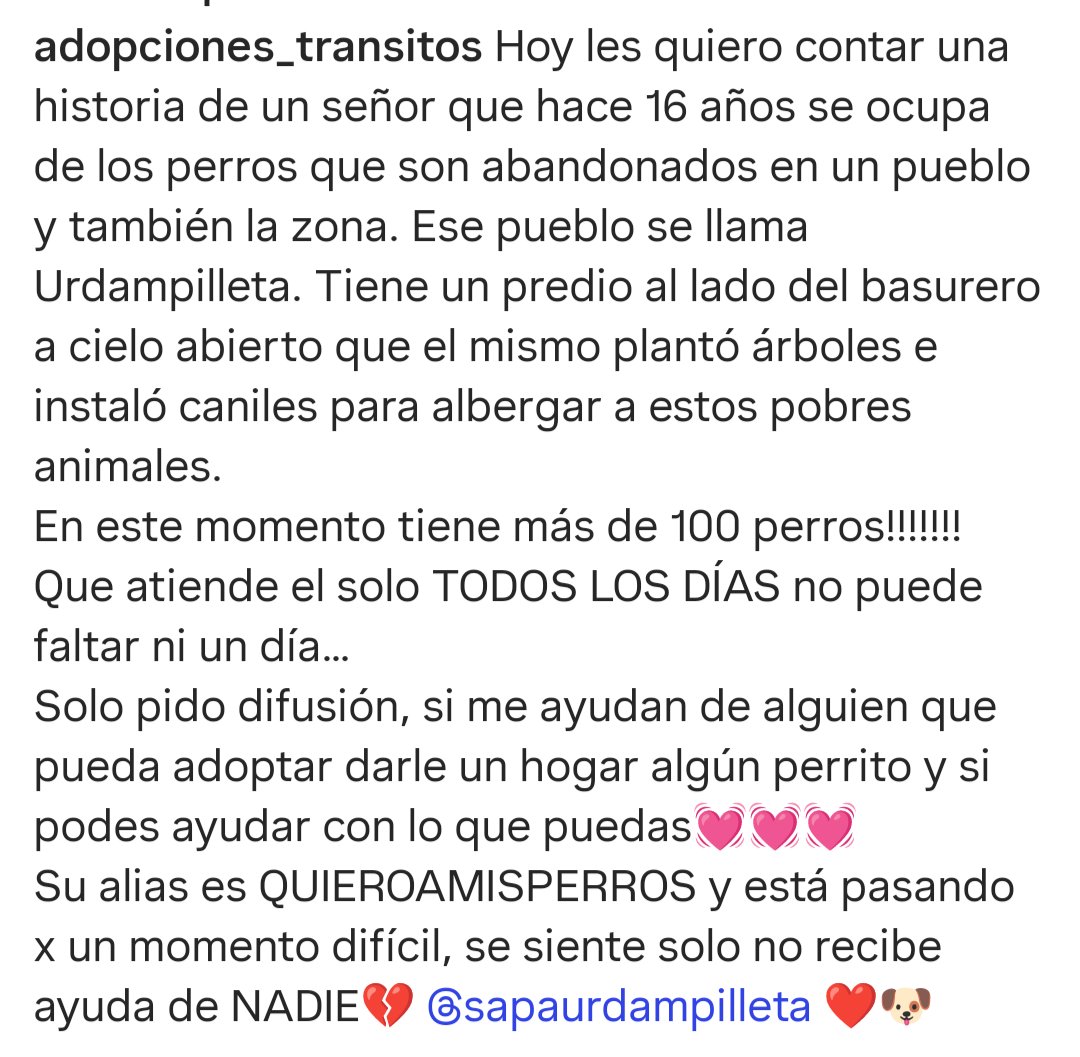 🇦🇷ᎴᎥᏓᏉᎥ𐒐λ 🇦🇷Syl🇦🇷 tweet media