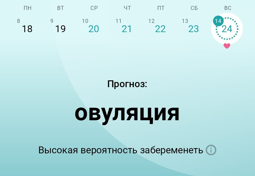шuнuгaми🇺🇦 tweet media