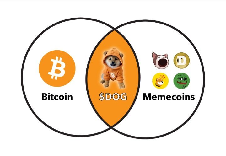 Sabio 🧡 $DOG tweet media
