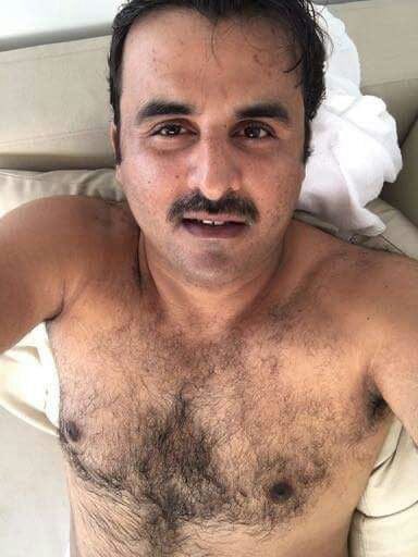 معتز بالله محمد tweet media