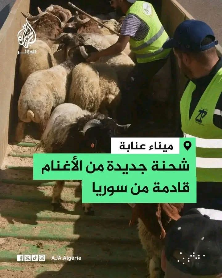 El Mustapha 🇲🇦 tweet media