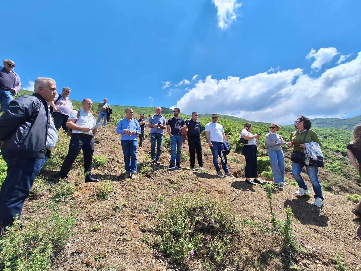 IUCN_ECARO's tweet photo. How can regional cooperation help turn biodiversity commitments into action?

Last week in Tirana, the 15th Regular Meeting of the @BDTF_WB reviewed the progress and agreed on next steps for Pillar 5: Protection of Nature and Biodiversity under the #GreenAgendaWB.

How can we support nature conservation and restoration across the region? How can #NatureBasedSolutions help mobilise finance for nature? Which regional processes are already moving forward in line with EU biodiversity commitments and the #GBF?

For answers, go here👉https://t.co/TfwZJUKM9N

🙌Supported by Sweden @Sida and #InternationalPartnershipsAustria

#EUGreenDeal #RegionalCooperation #NatureRestoration #WesternBalkans @Bionet @rccint