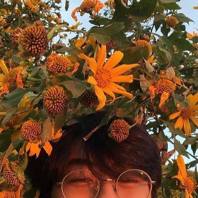 มษ ฮ็อบอะ💐🙊 tweet media