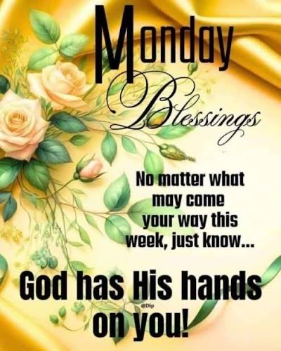 WVHPMinistries's tweet photo. Monday Blessings #WVHP
#MondayMorning #MondayMotivation #MondayMood #MondayVibes #MondayBlessings #MondayMessage #MondayBlessing https://t.co/cHMHFCMAMF