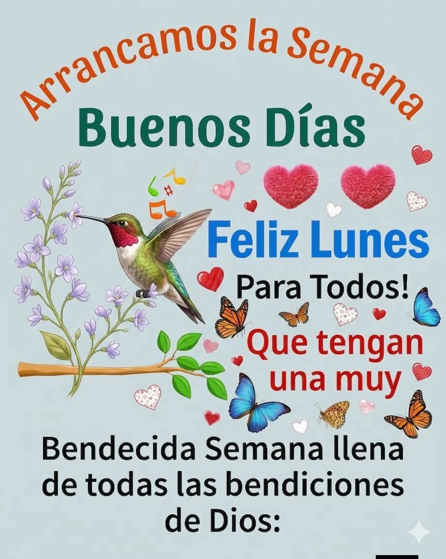 Gerardo Rodriguez tweet media