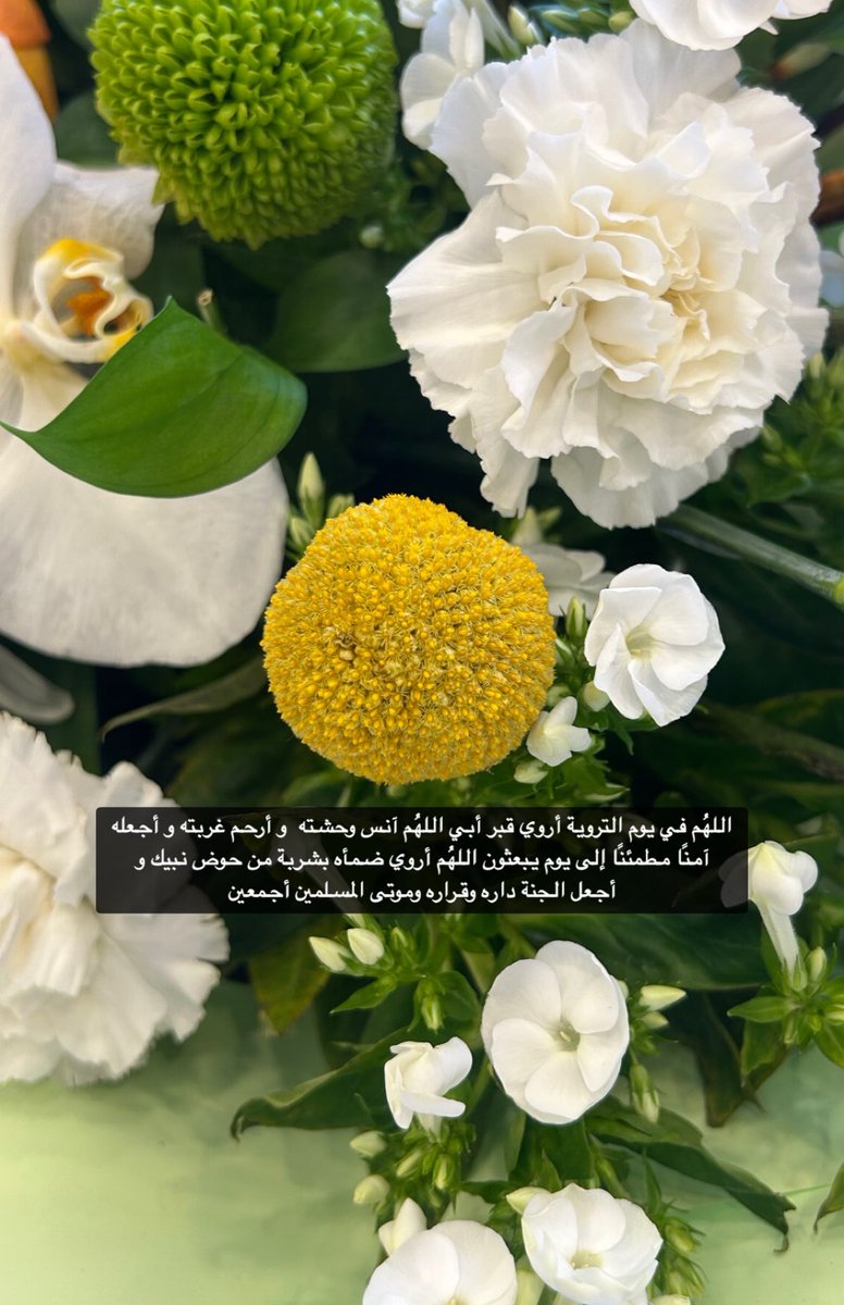 __shaamsa's tweet photo. https://t.co/nM4uOFO2Hy